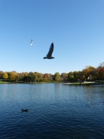 Road trip numéro 4 : Montréal le weekend des 12 et 13 octobre !!